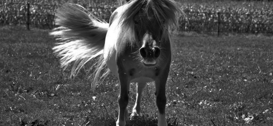 votre photo votre photo
